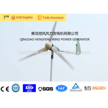 Hot sale small wind turbine